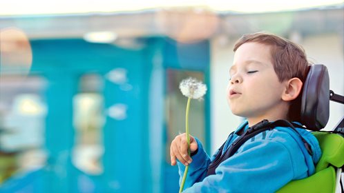 Políticas da empresa