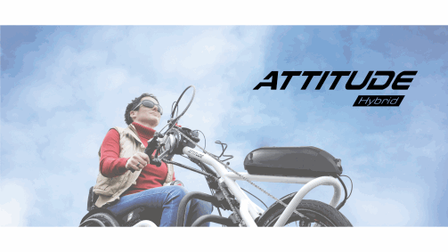 Attitude Hybrid: Nova eletrónica e opções